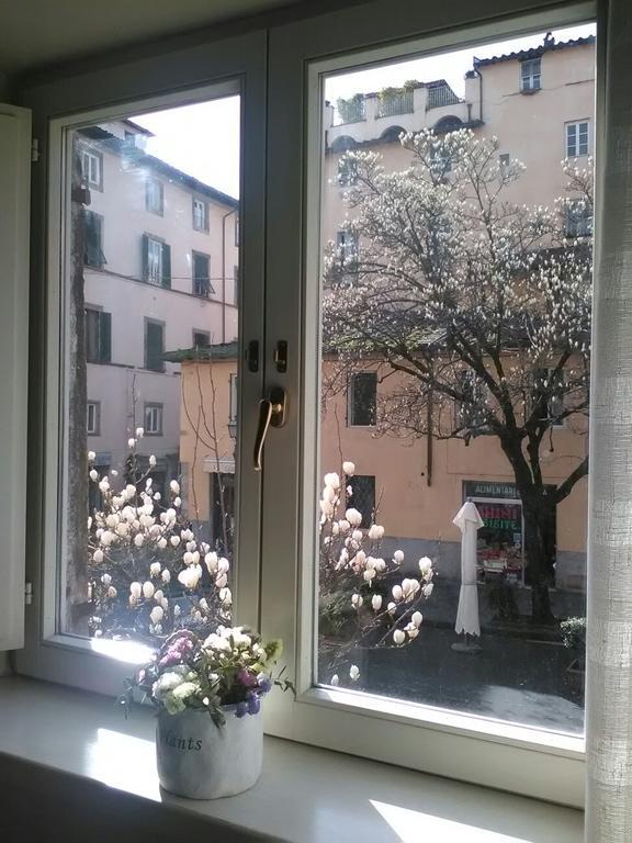 Suite Sofia Lucca Kültér fotó
